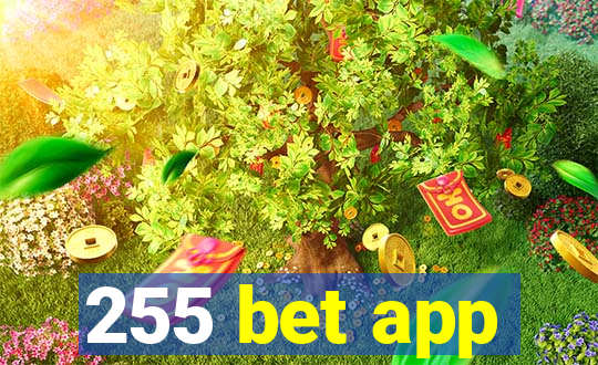 255 bet app
